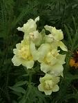     
: P00613-154558.jpg
: 16
:	68.7 
ID:	13361443