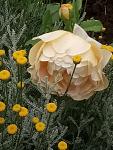     
: P00613-155246.jpg
: 17
:	121.7 
ID:	13361445