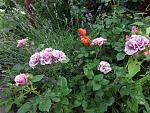     
: 20200613_071314.jpg
: 16
:	243.7 
ID:	13362055