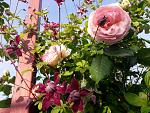     
: 20200613_072442.jpg
: 14
:	215.4 
ID:	13362056