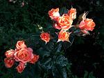     
: 20200613_071732.jpg
: 15
:	126.4 
ID:	13362057
