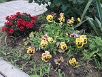     
: 20200613_132353.jpg
: 17
:	266.6 
ID:	13362058