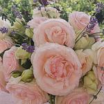     
: +IMG-eaf9de922e35598704b2016ac32a3cfd-V.jpg
: 16
:	111.5 
ID:	13362059