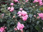     
: 20200613_200737.jpg
: 16
:	174.8 
ID:	13362060
