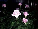     
: 20200613_211335.jpg
: 13
:	101.7 
ID:	13362061