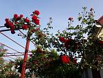     
: 20200613_071851.jpg
: 14
:	227.0 
ID:	13362064