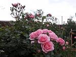     
: 20200613_200413.jpg
: 8
:	128.3 
ID:	13362846