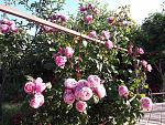     
: 20200614_184227.jpg
: 7
:	293.9 
ID:	13362850