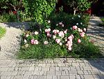     
: 20200614_184335.jpg
: 2
:	304.3 
ID:	13362851