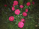     
: 20200613_211152.jpg
: 33
:	228.0 
ID:	13362916