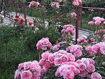     
: 20200619_190451.jpg
: 9
:	260.3 
ID:	13364043