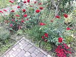     
: 20200619_190657.jpg
: 5
:	308.2 
ID:	13364048