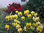     
: 20200620_190736.jpg
: 5
:	215.6 
ID:	13364062