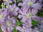     
: 20200621_084125.jpg
: 6
:	164.4 
ID:	13364077
