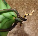     
: IMG_20200623_111657.jpg
: 21
:	78.3 
ID:	13364404