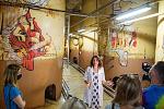     
: DSC04483 (1).jpg
: 59
:	180.6 
ID:	13364440
