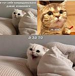     
: 20200622_221124.jpg
: 13
:	91.3 
ID:	13364798