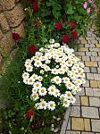     
: IMG_20200624_164838.jpg
: 6
:	190.8 
ID:	13365088