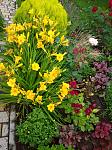     
: IMG_20200624_164845.jpg
: 5
:	207.1 
ID:	13365089