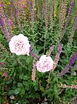     
: IMG_20200624_164956.jpg
: 7
:	189.4 
ID:	13365090
