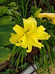     
: IMG_20200624_165112_1.jpg
: 5
:	91.7 
ID:	13365091