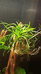     
: 20191027_200149.jpg
: 19
:	73.1 
ID:	13365233