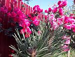     
: 20200621_084204.jpg
: 6
:	222.9 
ID:	13365312