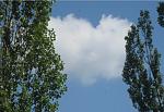     
: 78i78.jpg
: 13
:	218.8 
ID:	13365344
