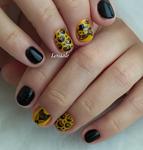    
: IMG_20190601_125131.jpg
: 2
:	27.1 
ID:	13365507