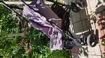     
: 20200609_121543.jpg
: 12
:	203.7 
ID:	13365528