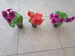     
: 20200625_194849.jpg
: 21
:	140.3 
ID:	13365575