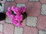     
: IMG-86c192ba26dde3bdf51e59e10883de52-V.jpg
: 21
:	184.4 
ID:	13365576