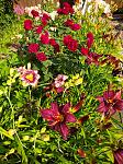     
: IMG_20200629_174049_1.jpg
: 10
:	235.0 
ID:	13366502