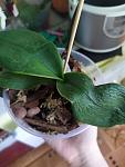     
: IMG_20200629_172808.jpg
: 21
:	61.0 
ID:	13366514