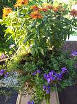     
: IMG_20200629_190319.jpg
: 11
:	184.2 
ID:	13366567