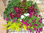     
: IMG_20200629_173810.jpg
: 8
:	290.7 
ID:	13366568