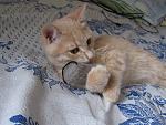     
: IMG_9448.jpg
: 80
:	163.4 
ID:	13368044