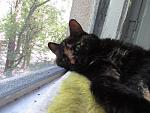     
: IMG_9478.jpg
: 51
:	186.5 
ID:	13368045