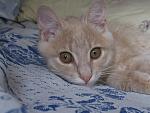     
: IMG_9443.jpg
: 39
:	121.1 
ID:	13368047