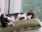    
: IMG_9250.jpg
: 38
:	122.9 
ID:	13368050