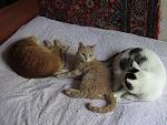     
: IMG_9506.jpg
: 41
:	162.7 
ID:	13368051
