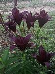     
: P00629-051238.jpg
: 7
:	142.7 
ID:	13368259