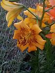     
: P00629-051300.jpg
: 6
:	114.9 
ID:	13368260