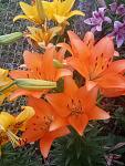     
: P00629-051309.jpg
: 4
:	103.9 
ID:	13368261