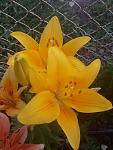     
: P00629-051326.jpg
: 5
:	77.5 
ID:	13368262