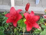     
: P00629-051721.jpg
: 7
:	189.3 
ID:	13368264