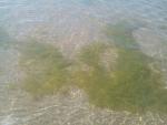     
: IMG-f4ee4bac050795e7108cbc28a7395334-V.jpg
: 32
:	71.5 
ID:	13368874