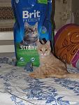    
: IMG_9572.jpg
: 46
:	122.0 
ID:	13369128