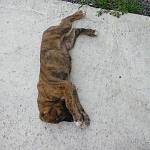     
: _viber_2020-07-04_21-51-11.jpg
: 46
:	136.0 
ID:	13369138