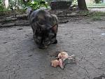     
: IMG_9594.jpg
: 52
:	180.1 
ID:	13369414